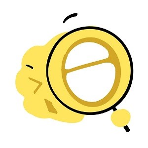 麻豆网站最新版