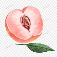 WWW,101av·COM网站APPAPP应用