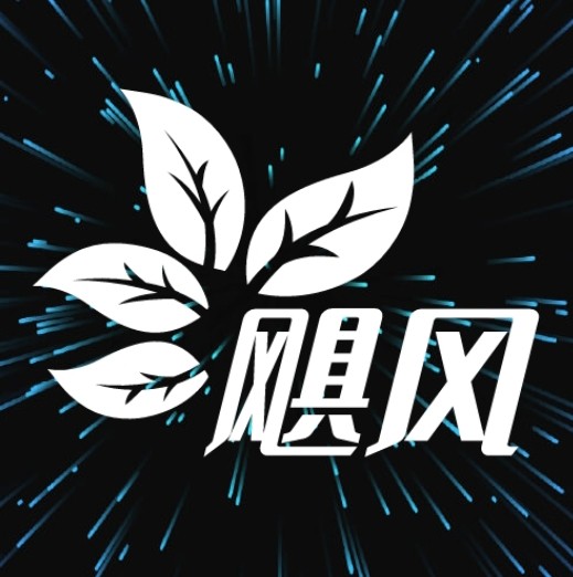 靓彩云视频下载手机版最新版